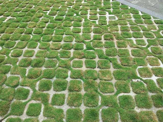 grass-paver-2